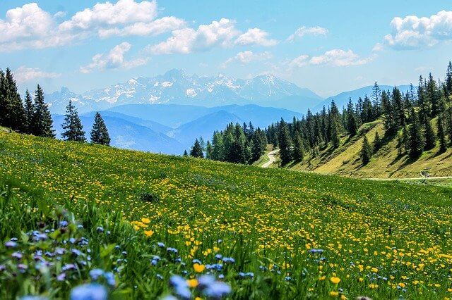 Alpenlandschaft